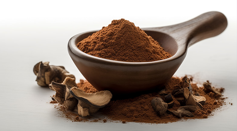 蘑菇產(chǎn)品及深加工產(chǎn)品